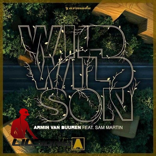 Armin van Buuren Ft. Sam Martin - Wild Wild Son